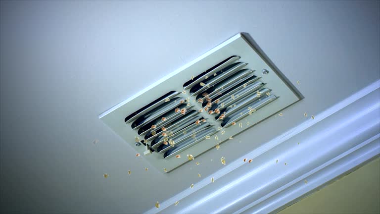 Best Home Air Vent Cleaning  in San Antonio Heights, CA